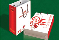 Paper Plastic Adhesive