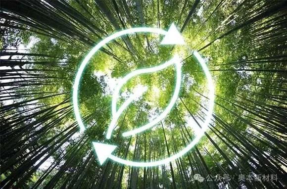 三年成材，九成微孔：竹质活性炭的硬核实力